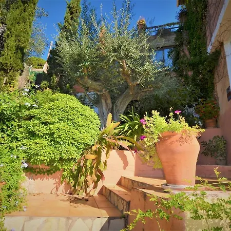 Flores 8 Personas Lloret de Mar