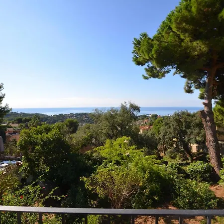 Flores 8 Personas * Lloret de Mar