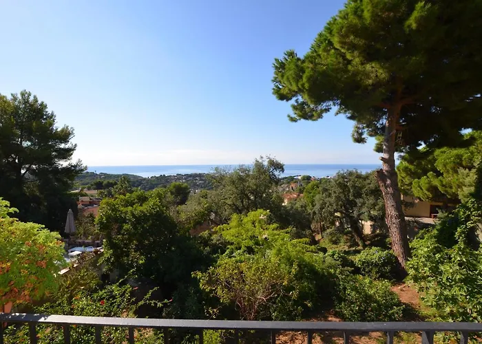 Flores 8 Personas * Lloret de Mar